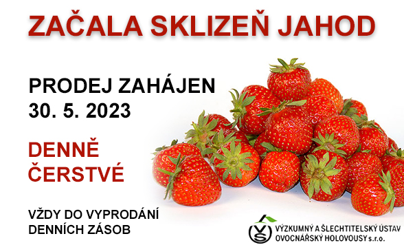 Prodej jahod 2023